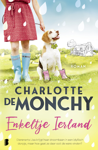 Enkeltje Ierland - Charlotte de Monchy (ISBN 9789022581353)