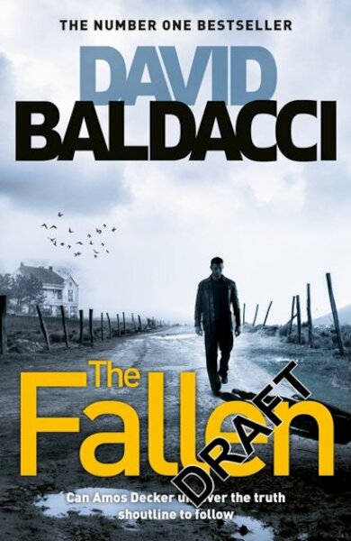 The Fallen - David Baldacci (ISBN 9781509874262)