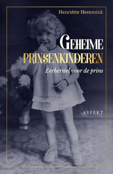 Geheime prinsenkinderen - Henriëtte Hemmink (ISBN 9789463383578)