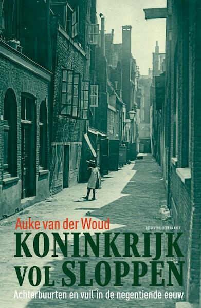Koninkrijk vol sloppen - Auke van der Woud (ISBN 9789035135970)