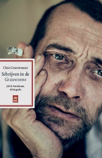 Schrijven in de Grauwzone - Chris Ceustermans (ISBN 9789460016585)