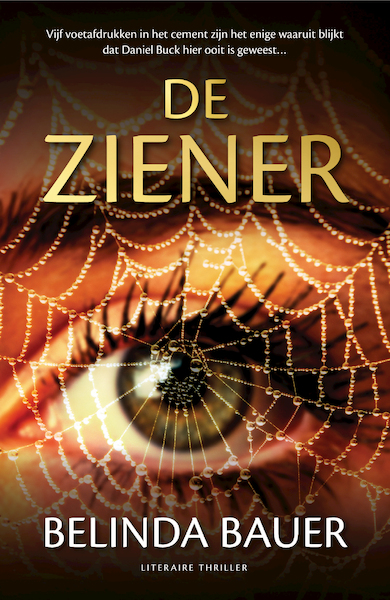 De ziener - Belinda Bauer (ISBN 9789044977677)