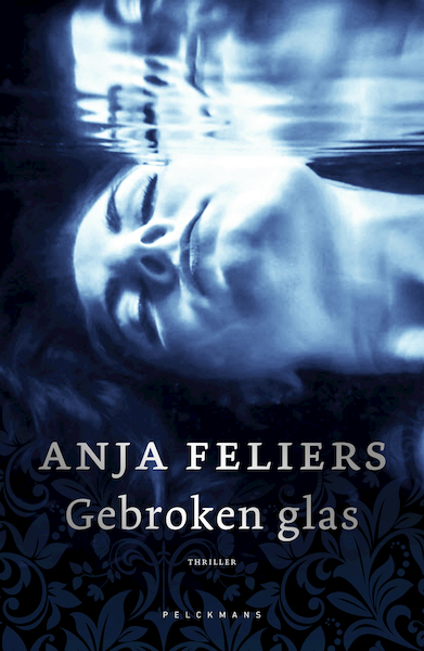 Gebroken glas - Anja Feliers (ISBN 9789463831109)