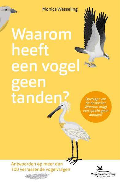 Waarom heeft een vogel geen tanden? - Monica Wesseling (ISBN 9789024588817)