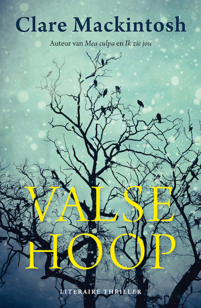 Valse hoop - Clare Mackintosh (ISBN 9789026154188)