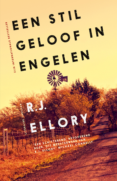 Een stil geloof in engelen - R.J. Ellory (ISBN 9789026155581)