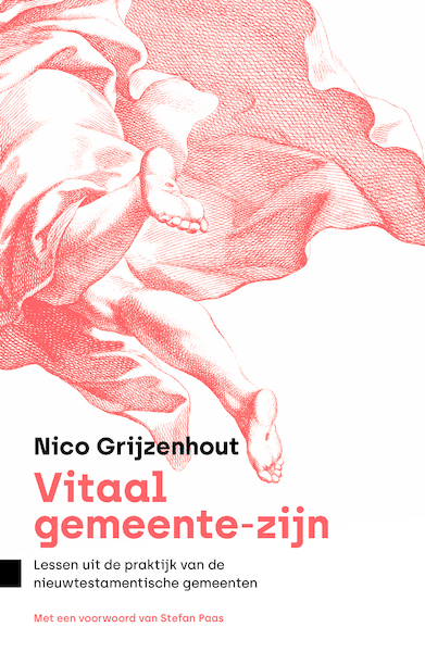 Vitale gemeenschappen - Nico Grijzenhout (ISBN 9789043536073)