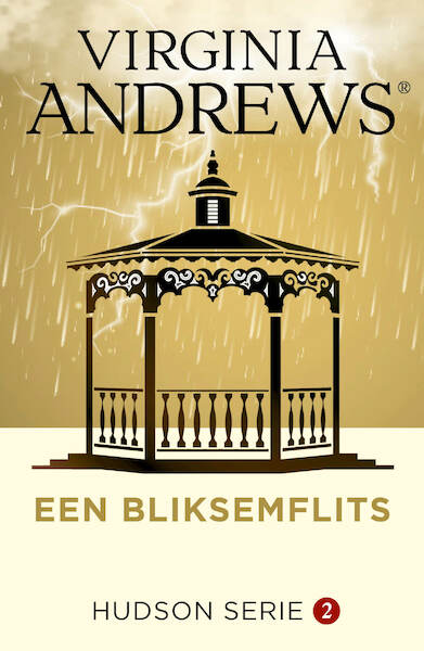 Een bliksemflits - Virginia Andrews (ISBN 9789026159060)