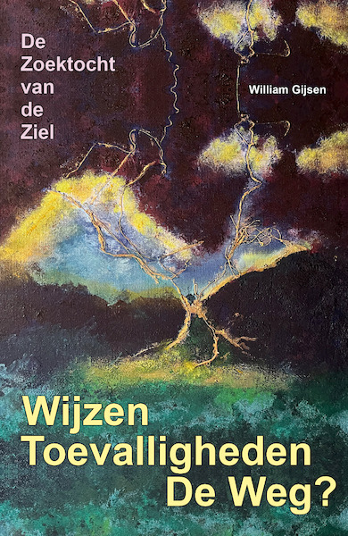 Wijzen Toevalligheden de Weg? - William Gijsen (ISBN 9789492340153)