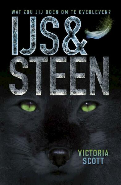 IJs en steen - Victoria Scott (ISBN 9789025868086)