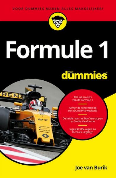 Formule 1 voor dummies - Joe van Burik (ISBN 9789045353807)