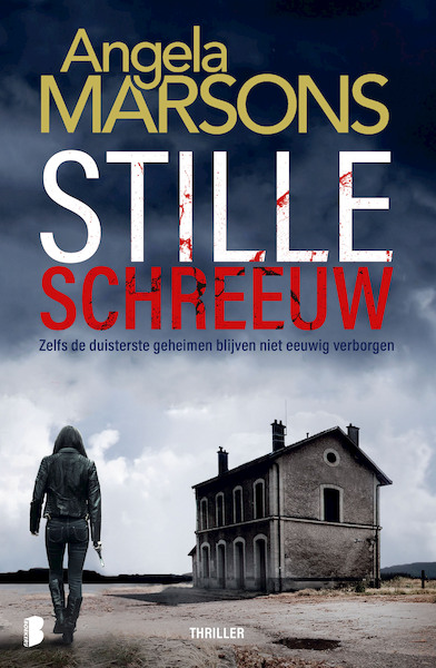 Stille schreeuw - Angela Marsons (ISBN 9789022588413)
