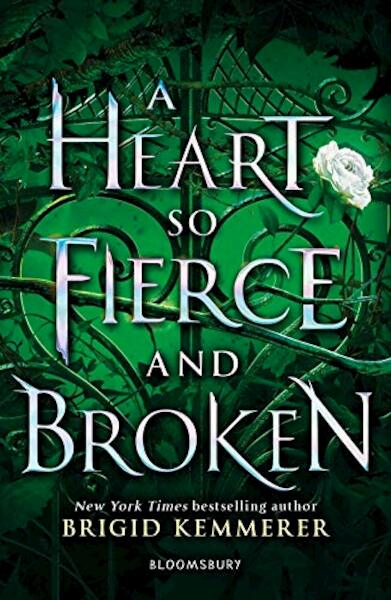 A Heart So Fierce and Broken - Brigid Kemmerer (ISBN 9781408885086)