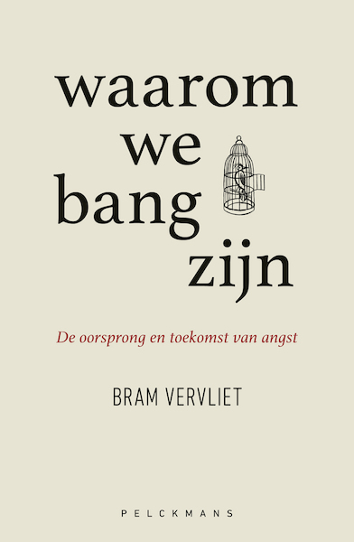 Waarom we bang zijn - Bram Vervliet (ISBN 9789463832434)