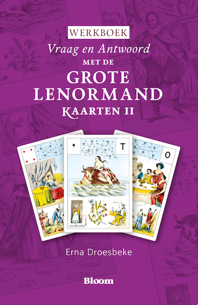 Werkboek van Vraag en Antwoord met de Grote Lenormandkaarten (deel II) - Erna Droesbeke (ISBN 9789072189301)