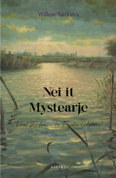 Nei it Mystearje - Willem Tjerkstra (ISBN 9789464628197)