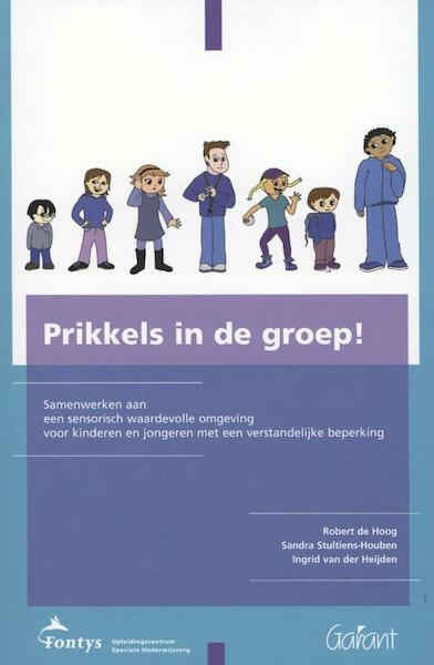 Prikkels in de groep! - Robert de Hoog, Sandra Stultiens-Houben, Ingrid van der Heijden (ISBN 9789044129397)