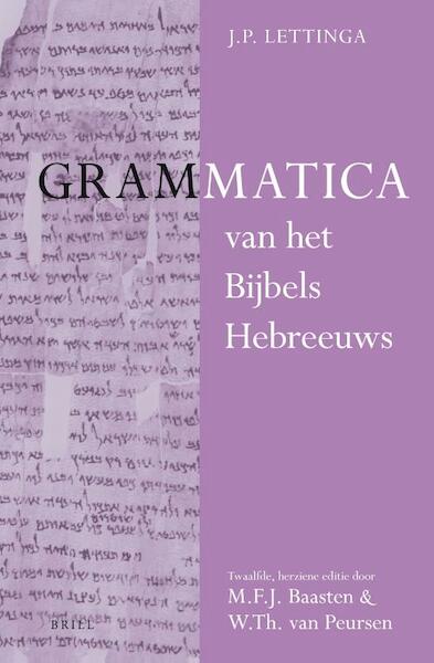 Grammatica van het Bijbels Hebreeuws en Leerboek van het Bijbels Hebreeuws (2 vols) - M.F.J. Baasten, W.Th. van Peursen, J.P. Lettinga (ISBN 9789004214484)