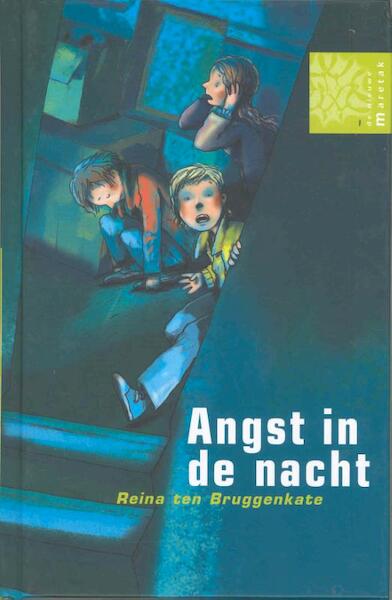 Angst in de nacht - Reina ten Bruggenkate (ISBN 9789043703185)