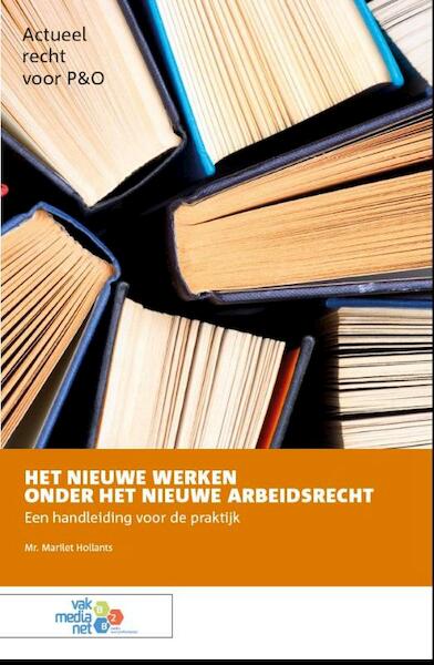 Het Nieuwe Werken - Marilet Hollants (ISBN 9789462153479)
