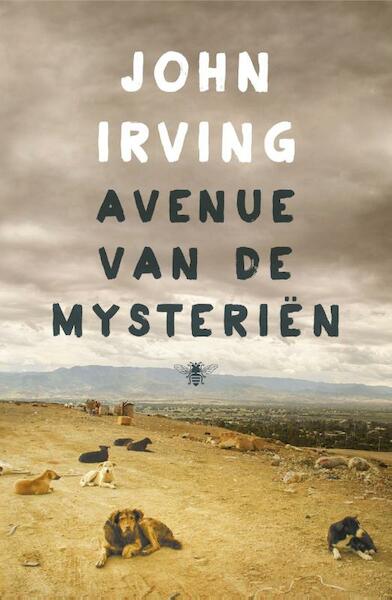 Avenue van de mysterien - John Irving (ISBN 9789023497868)