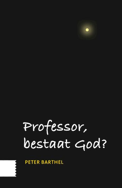 Professor, bestaat God? - Peter Barthel (ISBN 9789048535330)