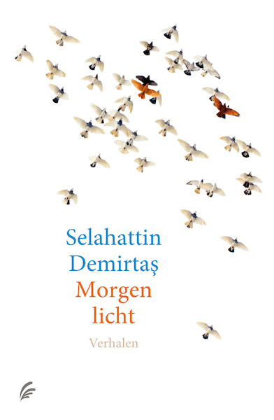 Morgenlicht - Selahattin Demirtas (ISBN 9789056726133)