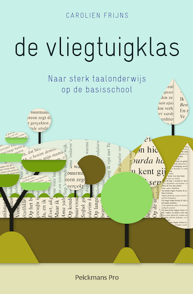 De vliegtuigklas - Carolien Frijns (ISBN 9789463371568)