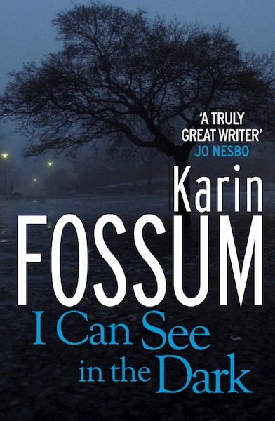 I Can See in the Dark - Karin Fossum (ISBN 9781448104642)