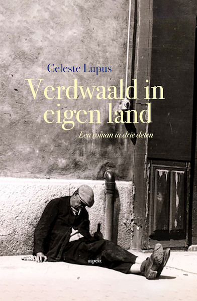 Verdwaald in eigen land - Celeste Lupus (ISBN 9789464241754)