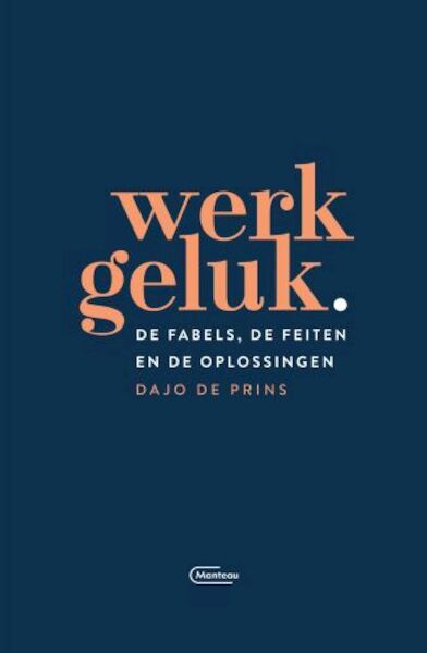 Werkgeluk - Dajo De Prins (ISBN 9789022337400)
