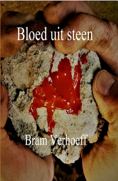 Bloed uit steen - Bram Verhoeff (ISBN 9789492719508)