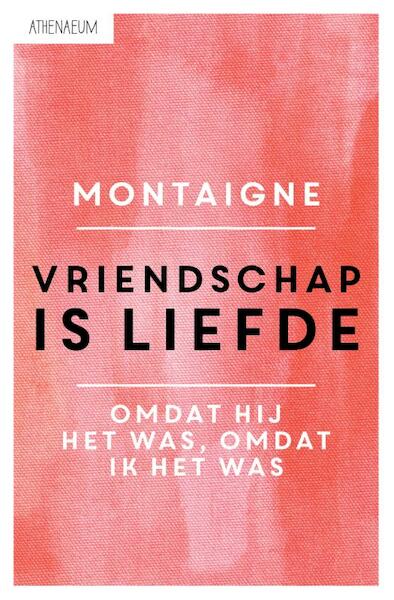 Vriendschap is liefde - Michel de Montaigne (ISBN 9789025300715)