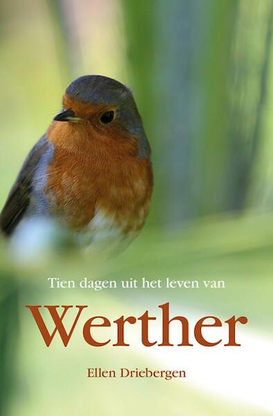 Tien dagen uit het leven van Werther - Ellen Driebergen (ISBN 9789463650281)