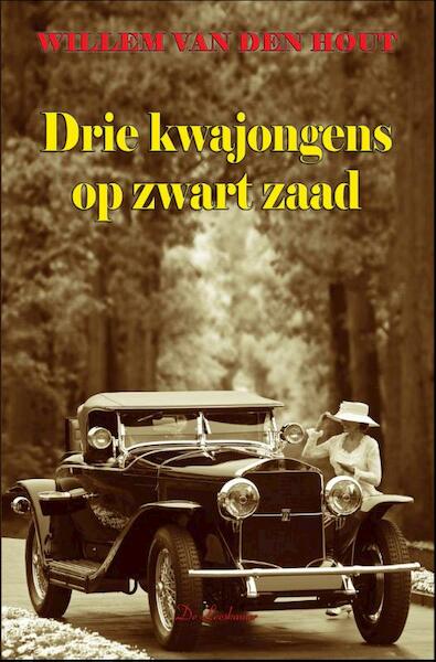 Drie kwajongens op zwart zaad - Willy van der Heide (ISBN 9789086060405)
