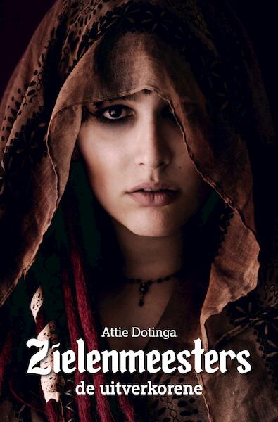 2 - Attie Dotinga (ISBN 9789463456913)