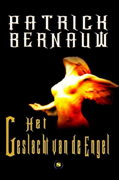 Het geslacht van de engel - Patrick Bernauw (ISBN 9789462660182)