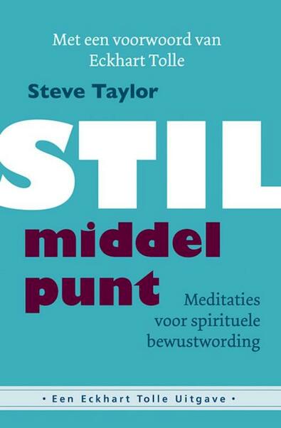 Stil middelpunt - Steve Taylor (ISBN 9789020212266)
