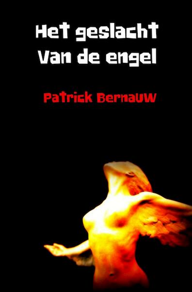 Het geslacht van de engel - Patrick Bernauw (ISBN 9789463185721)