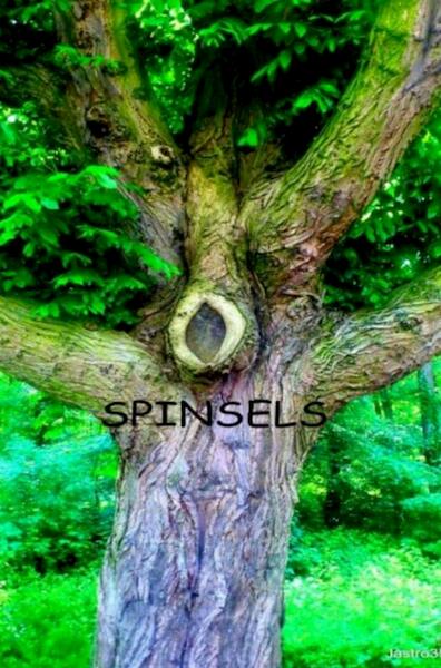 Spinsels - Joop Strous (ISBN 9789463184564)