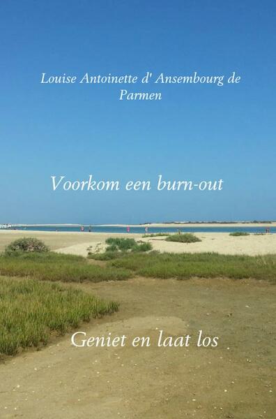 Voorkom een burn-out - Louise Antoinette d' Ansembourg de Parmen (ISBN 9789402149265)