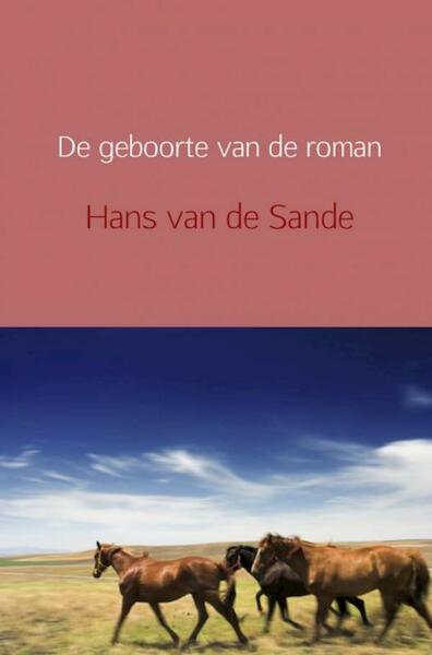 De geboorte van de roman - Hans van de Sande (ISBN 9789402152708)