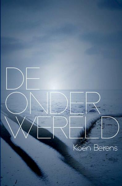 De onderwereld - Koen Beirens (ISBN 9789463185547)