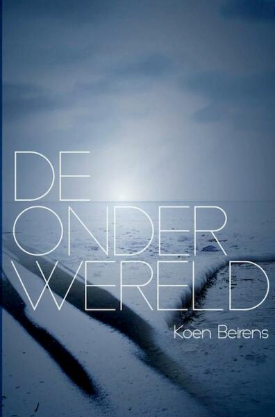 De onderwereld - Koen Beirens (ISBN 9789463181389)