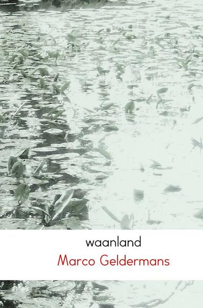 waanland - Marco Geldermans (ISBN 9789402170313)