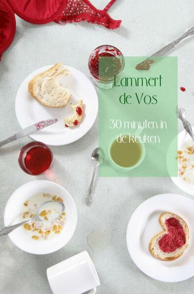 30 minuten in de keuken - Lammert de Vos (ISBN 9789402169058)