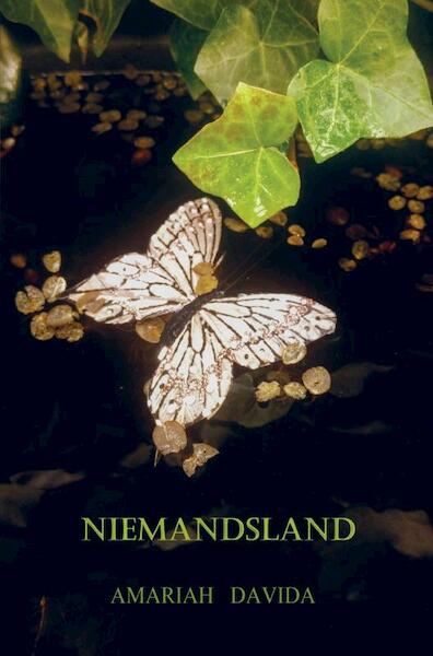 Niemandsland - Amariah Davida (ISBN 9789463180108)