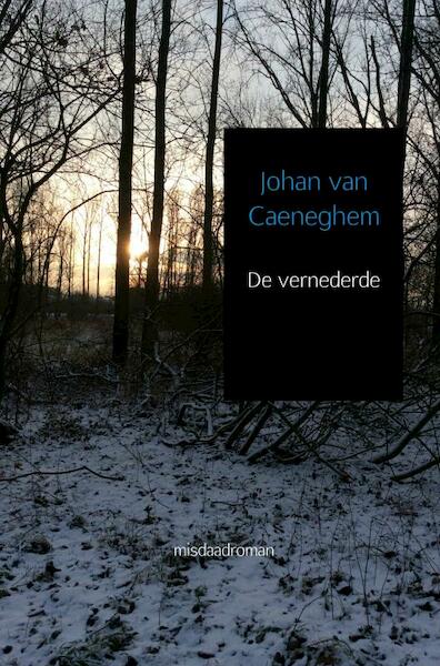 De vernederde - Johan Van Caeneghem (ISBN 9789402186369)