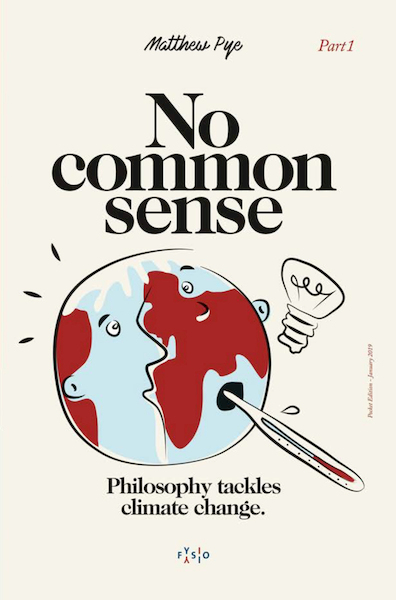 No Common Sense - Matthew Pye (ISBN 9789074730402)