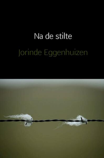 Na de stilte - Jorinde Eggenhuizen (ISBN 9789402187663)